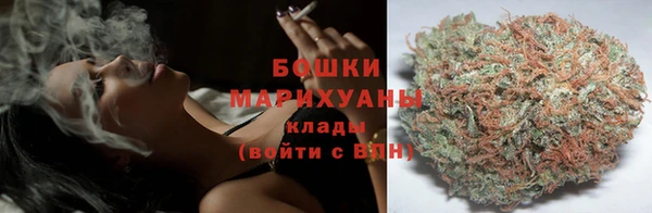 ГАЛЛЮЦИНОГЕННЫЕ ГРИБЫ Алзамай