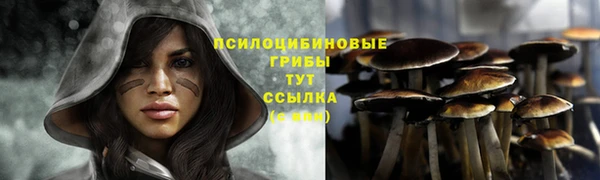 spice Абаза