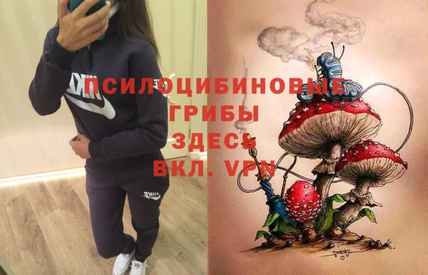 ГАЛЛЮЦИНОГЕННЫЕ ГРИБЫ Алзамай