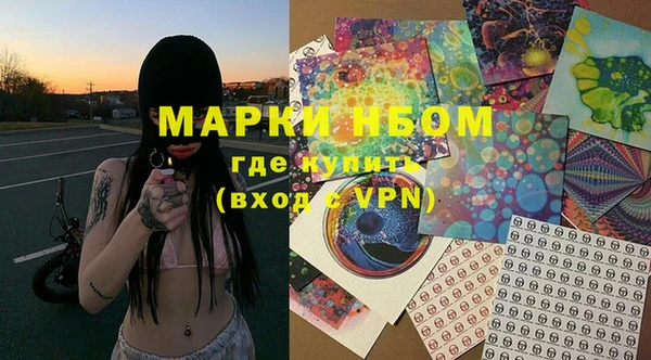 ГАЛЛЮЦИНОГЕННЫЕ ГРИБЫ Алзамай