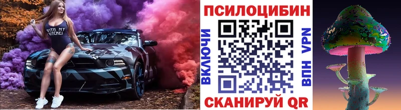 Галлюциногенные грибы Psilocybe  Абакан 
